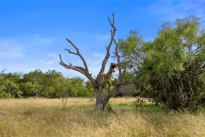 Graham, TX 76450