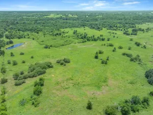 Edgewood, TX 75117