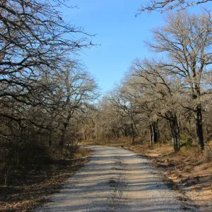 Bridgeport, TX 76426