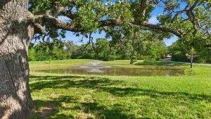 Argyle, TX 76226
