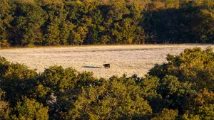Collinsville, TX 76233
