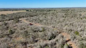 Gonzales, TX 78632