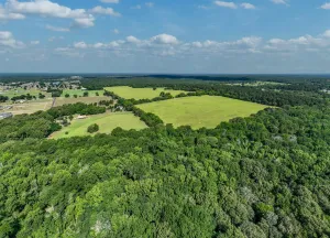 Lindale, TX 75771