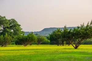 Fairy, TX 76457