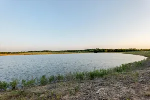 Carbon, TX 76435