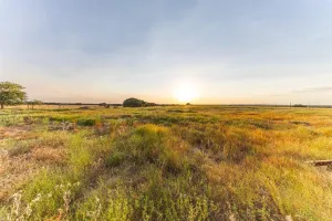 Mullin, TX 76864