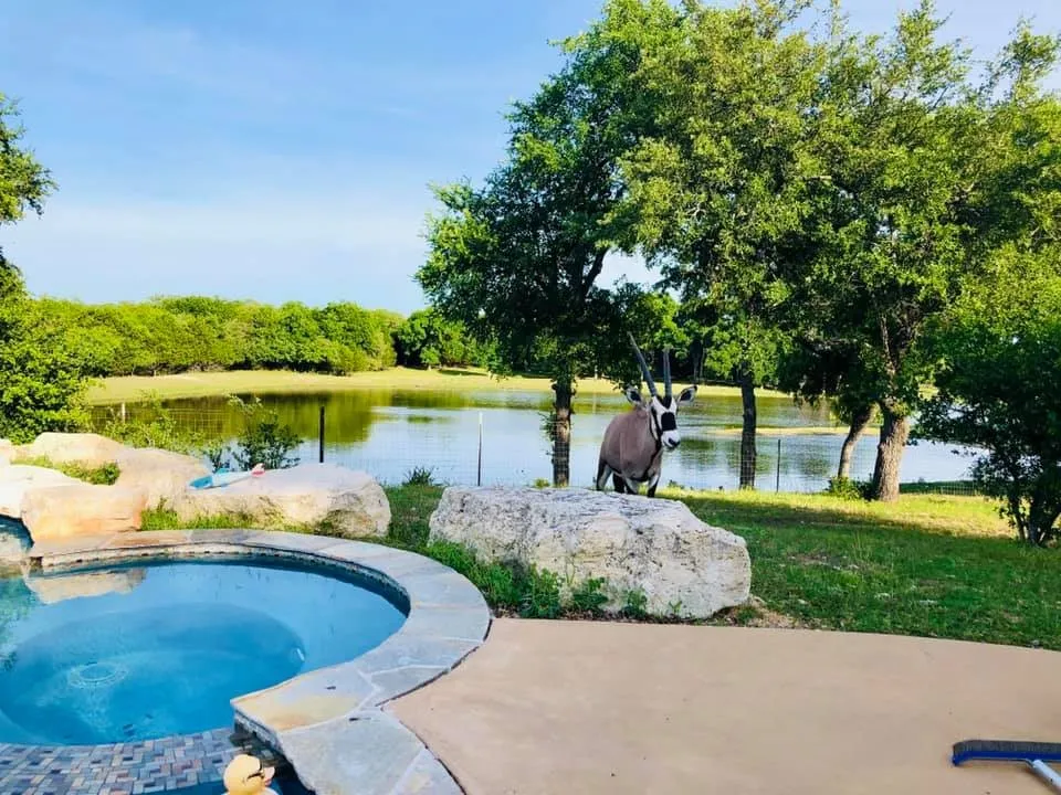 Lampasas, TX 76550