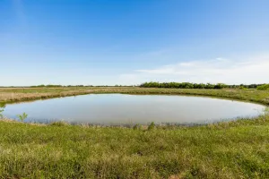 Coleman, TX 76834