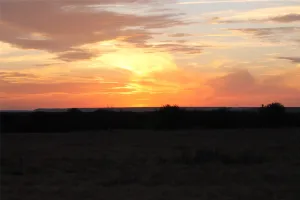 Graford, TX 76449