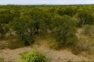 Wills Point, TX 75169