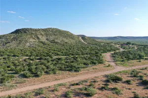 Robert Lee, TX 76945