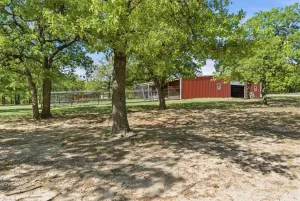 Forestburg, TX 76239