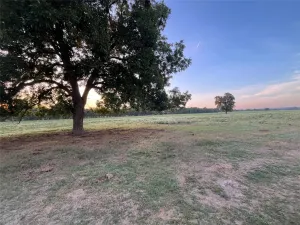 Mexia, TX 76667