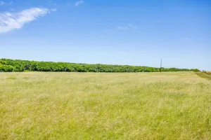 Burleson, TX 76028