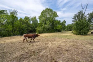 Aledo, TX 76008