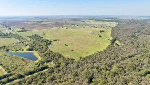 Pilot Point, TX 76258