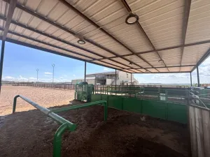 Bronte, TX 76933
