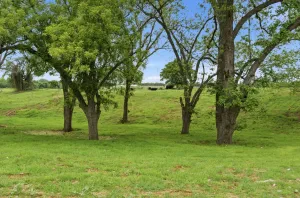 Granbury, TX 76048