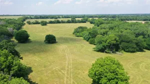 Whitewright, TX 75491