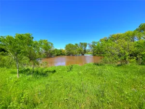 Bowie, TX 76230
