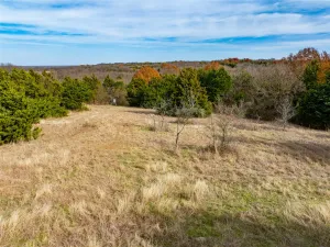 Bristol, TX 75119