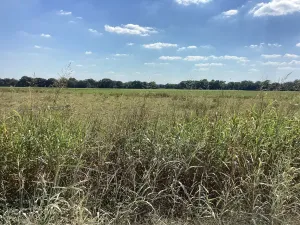 Dawson, TX 76639