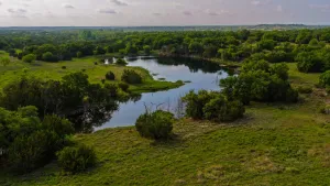 Hamilton, TX 76531