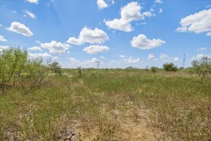 Terrell, TX 75160