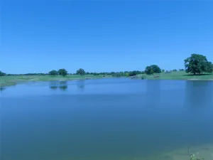 Forestburg, TX 76239