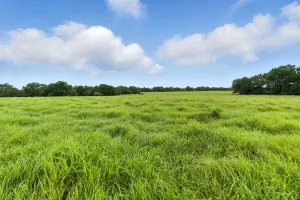 Jacksboro, TX 76458