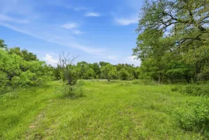 Bowie, TX 76230
