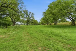 Granbury, TX 76048