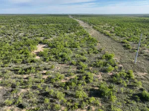 Voss, TX 76888