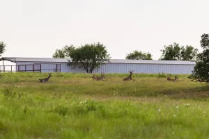 Mullin, TX 76864