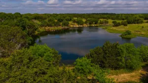Hamilton, TX 76531
