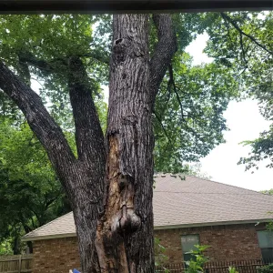 Ennis, TX 75119