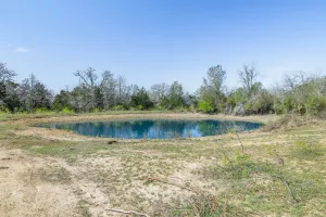 Rockdale, TX 76567