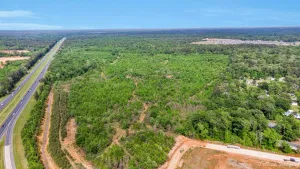 Haughton, LA 71037