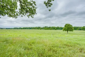 Hudson Oaks, TX 76087