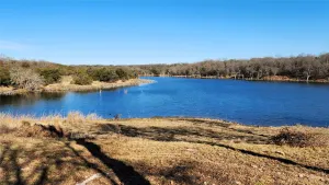 Gorman, TX 76454
