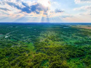 Wichita Falls, TX 76310