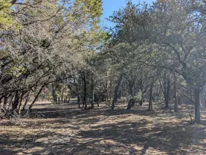 Lampasas, TX 76550