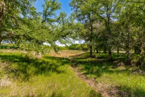 Coleman, TX 76834