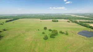 Honey Grove, TX 75446