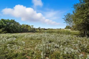Lone Oak, TX 75453