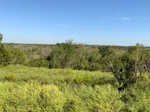 Carlton, TX 76436