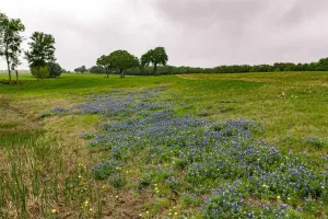Kerens, TX 75144