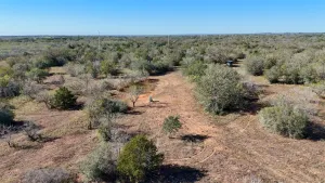 Gonzales, TX 78632