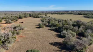 Gonzales, TX 78632