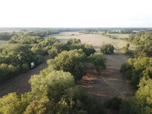 Mexia, TX 76667